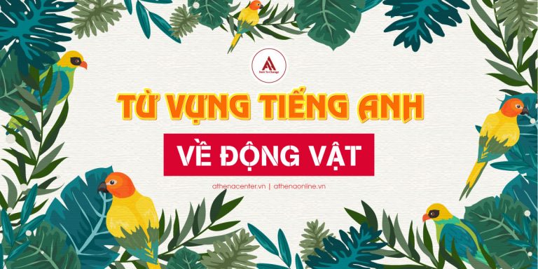 TỔNG HỢP CÁC TỪ VỰNG TIẾNG ANH VỀ ĐỘNG VẬT